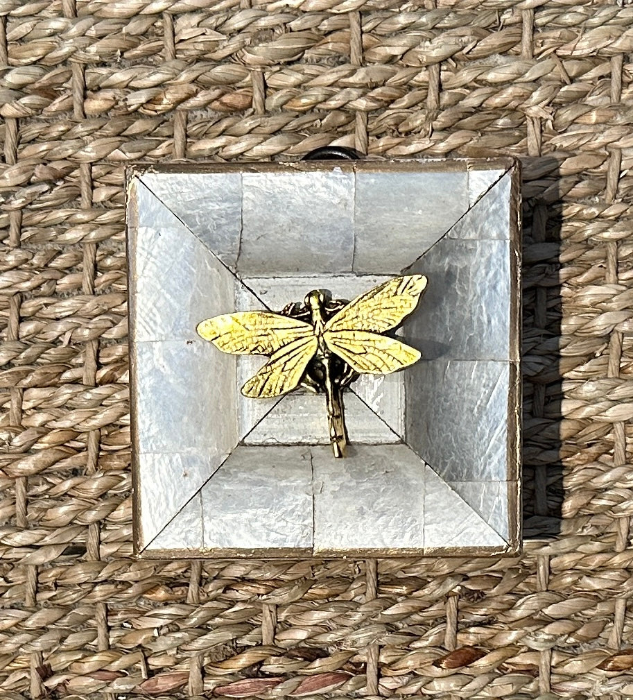 Museum Bee, Mother of Pearl Frame with Dragonfly