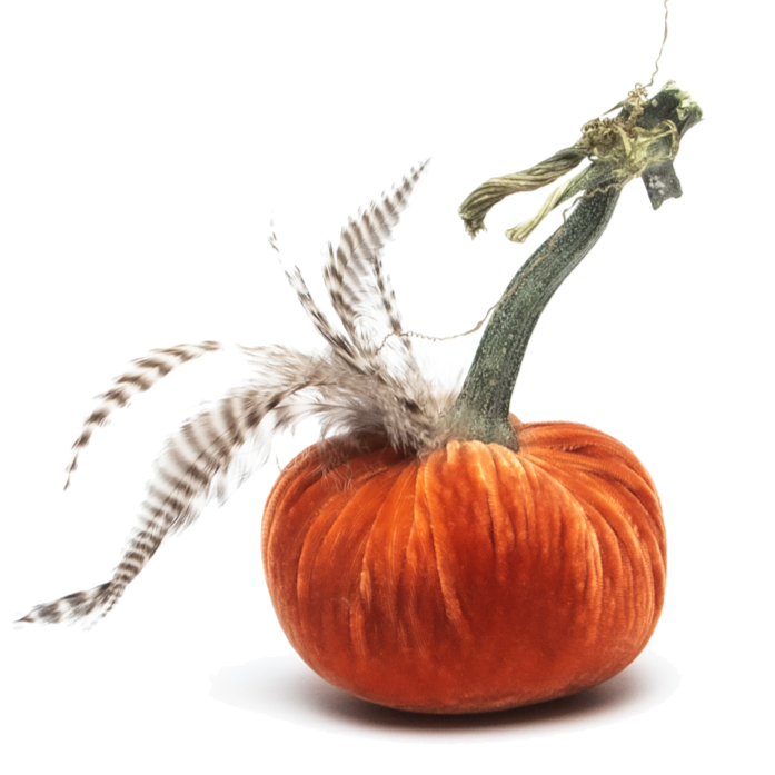 Hot Skwash Silk Velvet & Chinchilla Plume Pumpkin, Persimmon, Multi Sizes