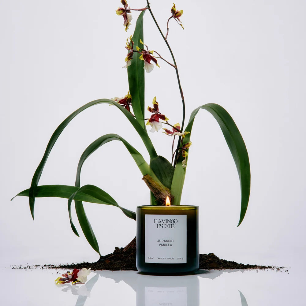Flamingo Estate Jurassic Vanilla Candle