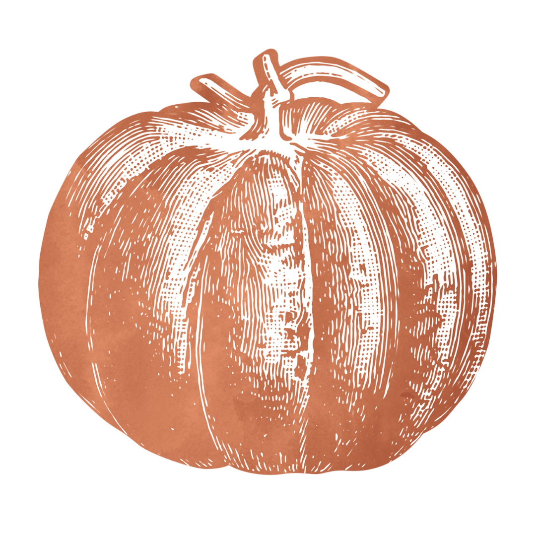 Pumpkin Paper Placemats, Set of 12