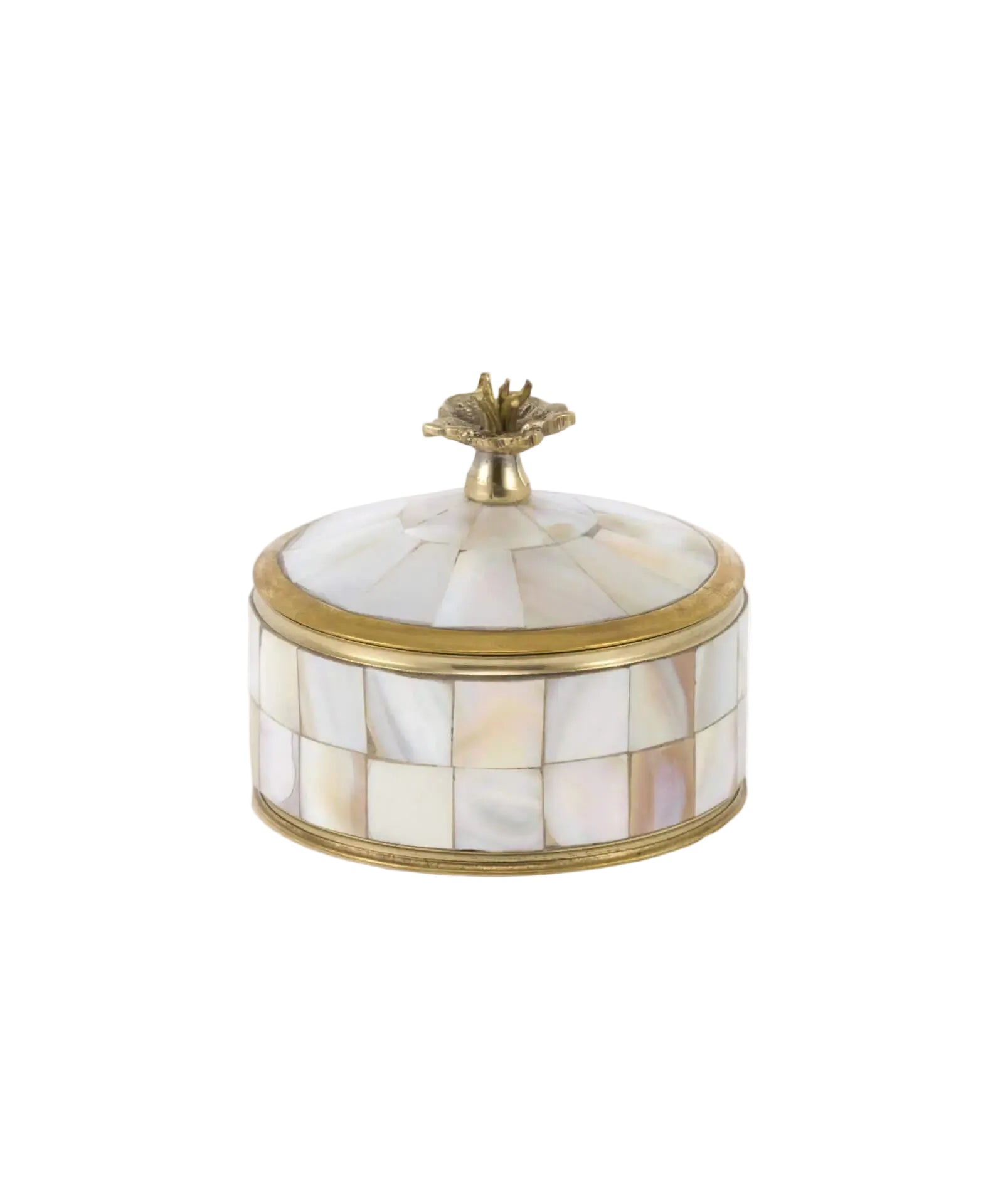 Maisie Pearly Circus Box, Medium