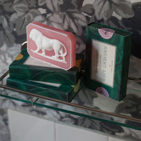 Bridie Hall Ancient Lion Soap, Cardamom & Mimosa - Hunt and Bloom