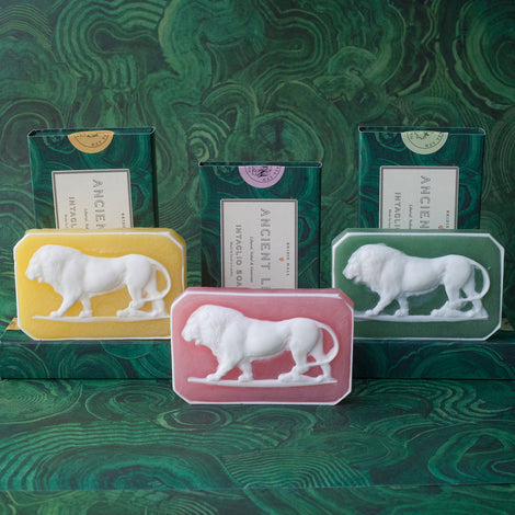 Bridie Hall Ancient Lion Soap, Cardamom & Mimosa - Hunt and Bloom