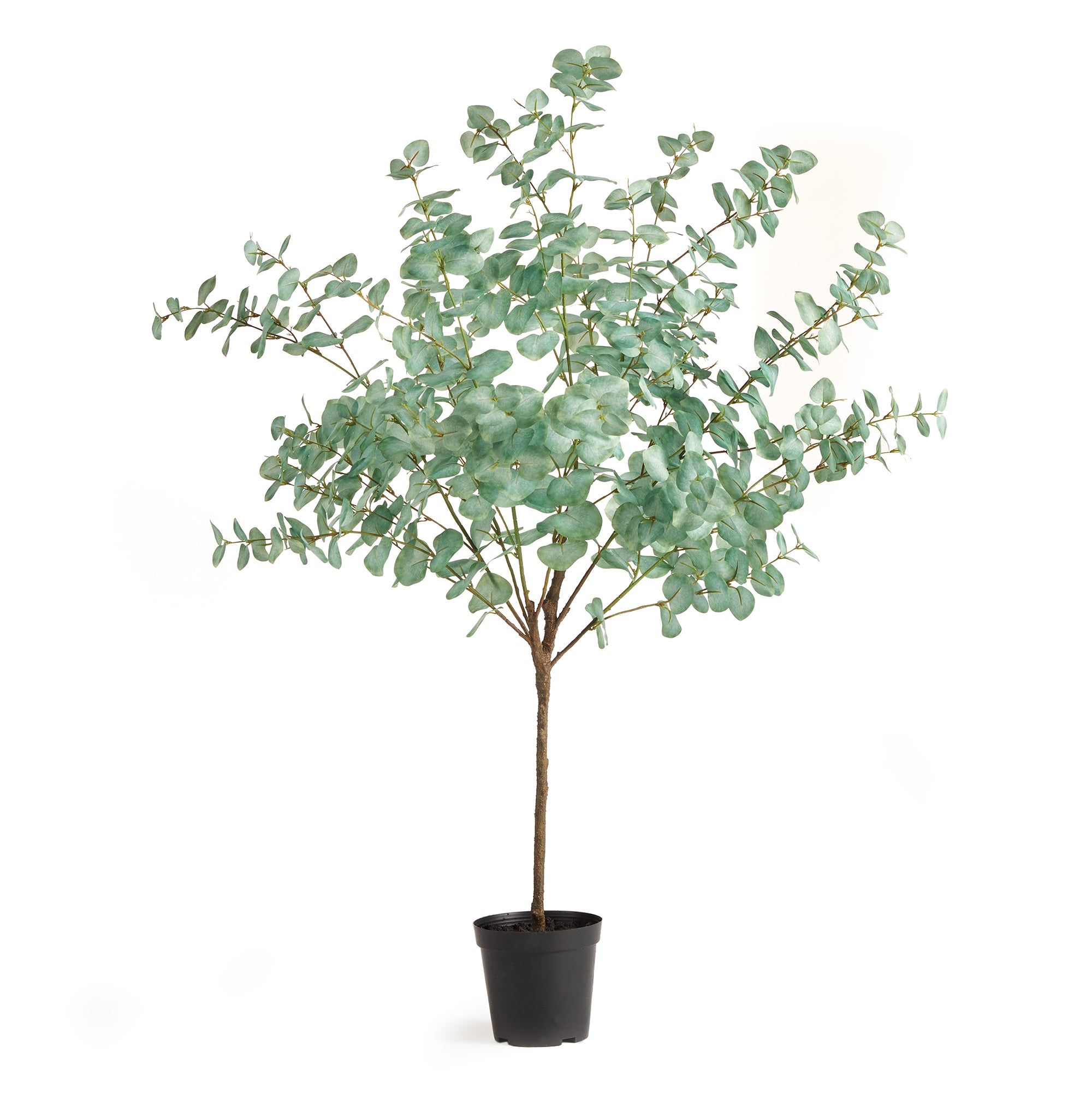 Eucalyptus Tree Drop-In, 49"