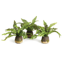 Artificial Plant
