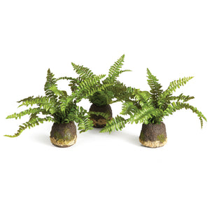 Artificial Plant