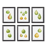 Framed Wall Art