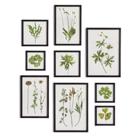 Framed Wall Art