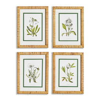 Framed Wall Art
