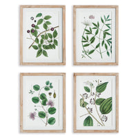 Framed Wall Art