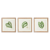 Framed Wall Art