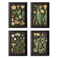 Framed Wall Art