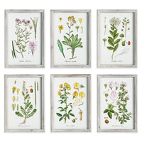 Framed Wall Art