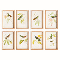 Framed Wall Art