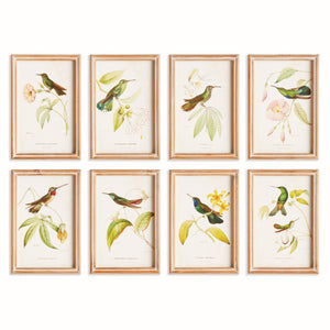 Framed Wall Art