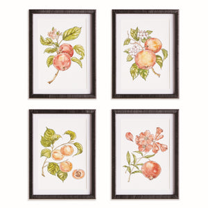 Framed Wall Art