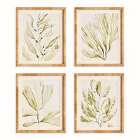Framed Wall Art