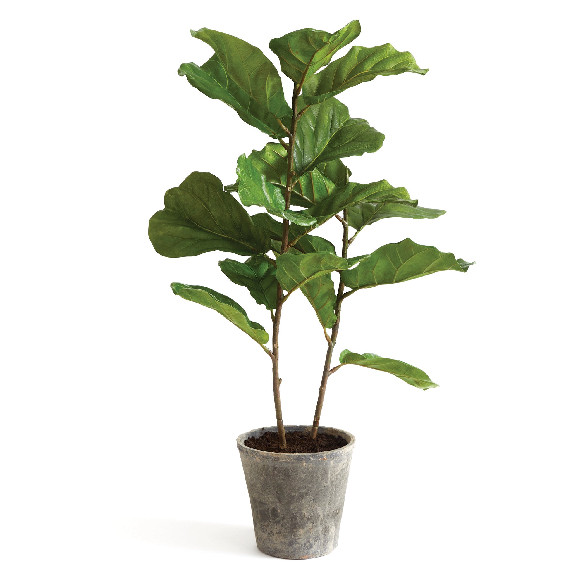 Artificial Plant