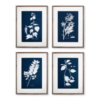Framed Wall Art