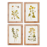 Framed Wall Art