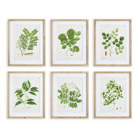 Framed Wall Art