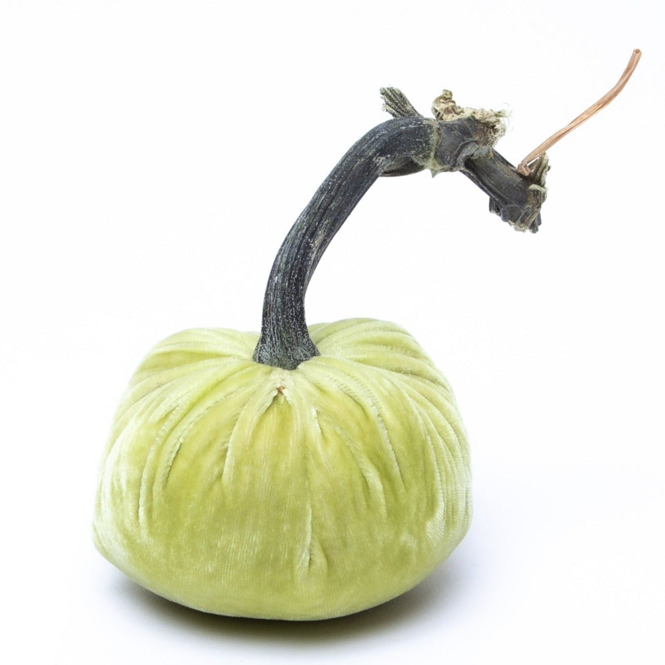Hot Skwash Silk Velvet Pumpkin, Pistachio Multi Sizes