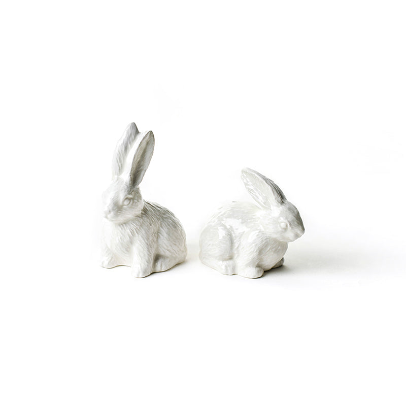 Rabbit Salt and Pepper Shaker Set