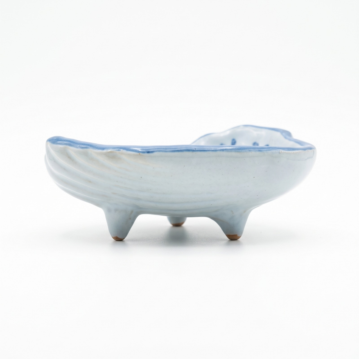 Francesca Concha Shell, Tonal Blue