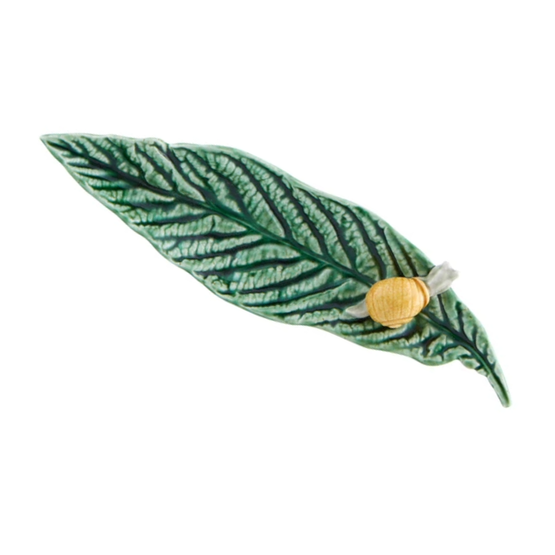 Medlar Leaf with Snail