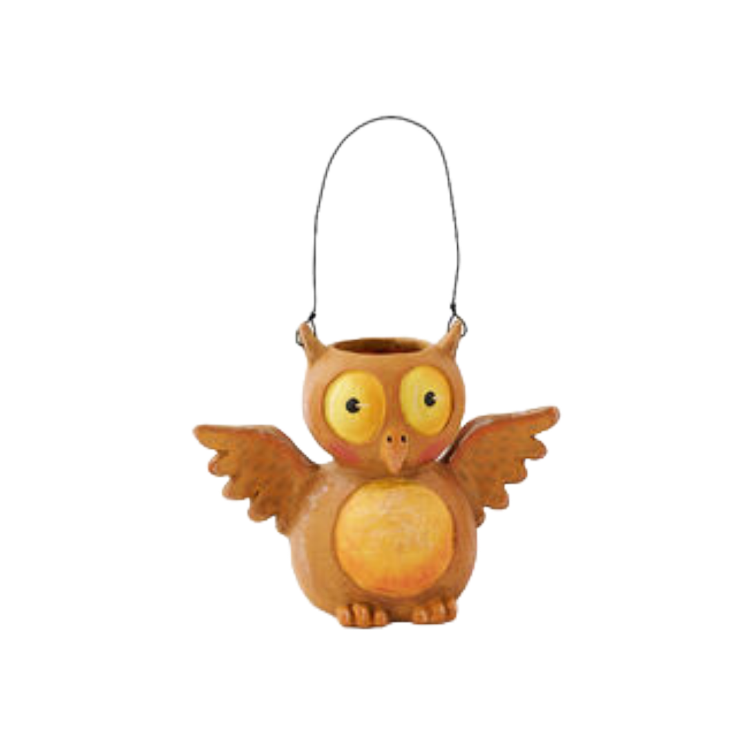 Little Owl Treat Bucket