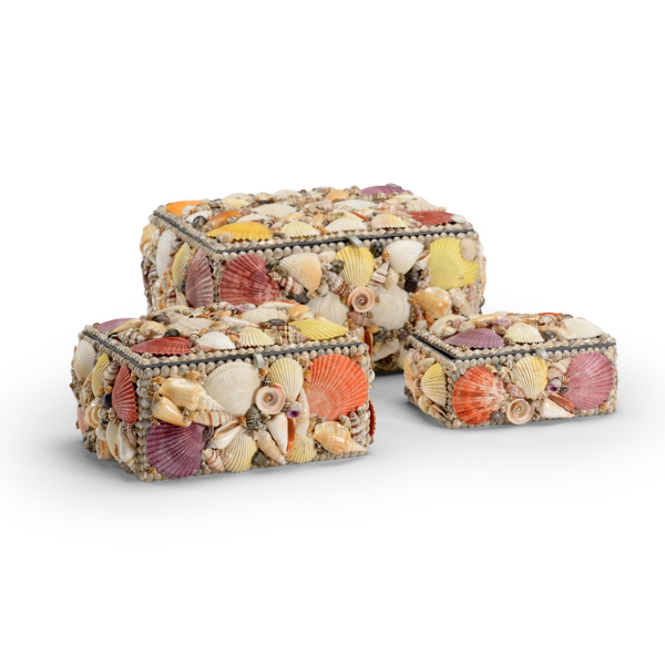 Tinsley Shell Boxes, Set of 3