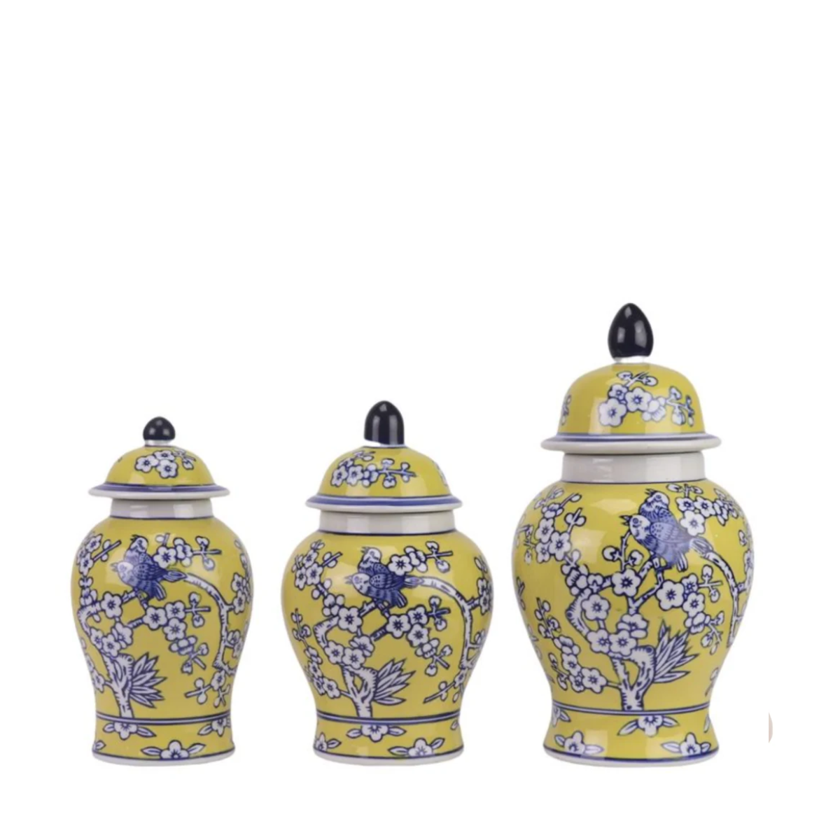 Cranley Yellow & Blue Food Safe Jars, Set of 3