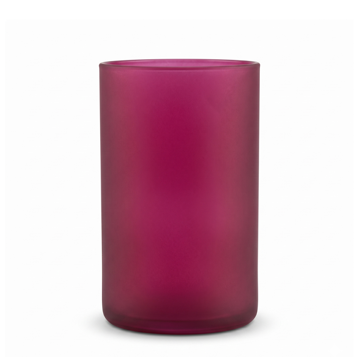 Bentley Drinkware Raspberry 16oz Tumbler, Set of 4