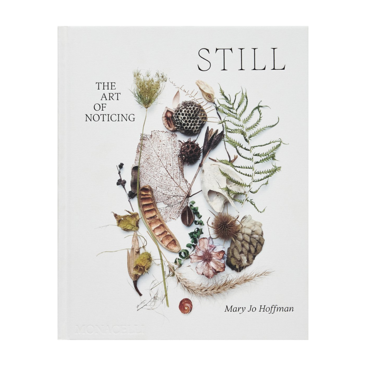 STILL: The Art of Noticing