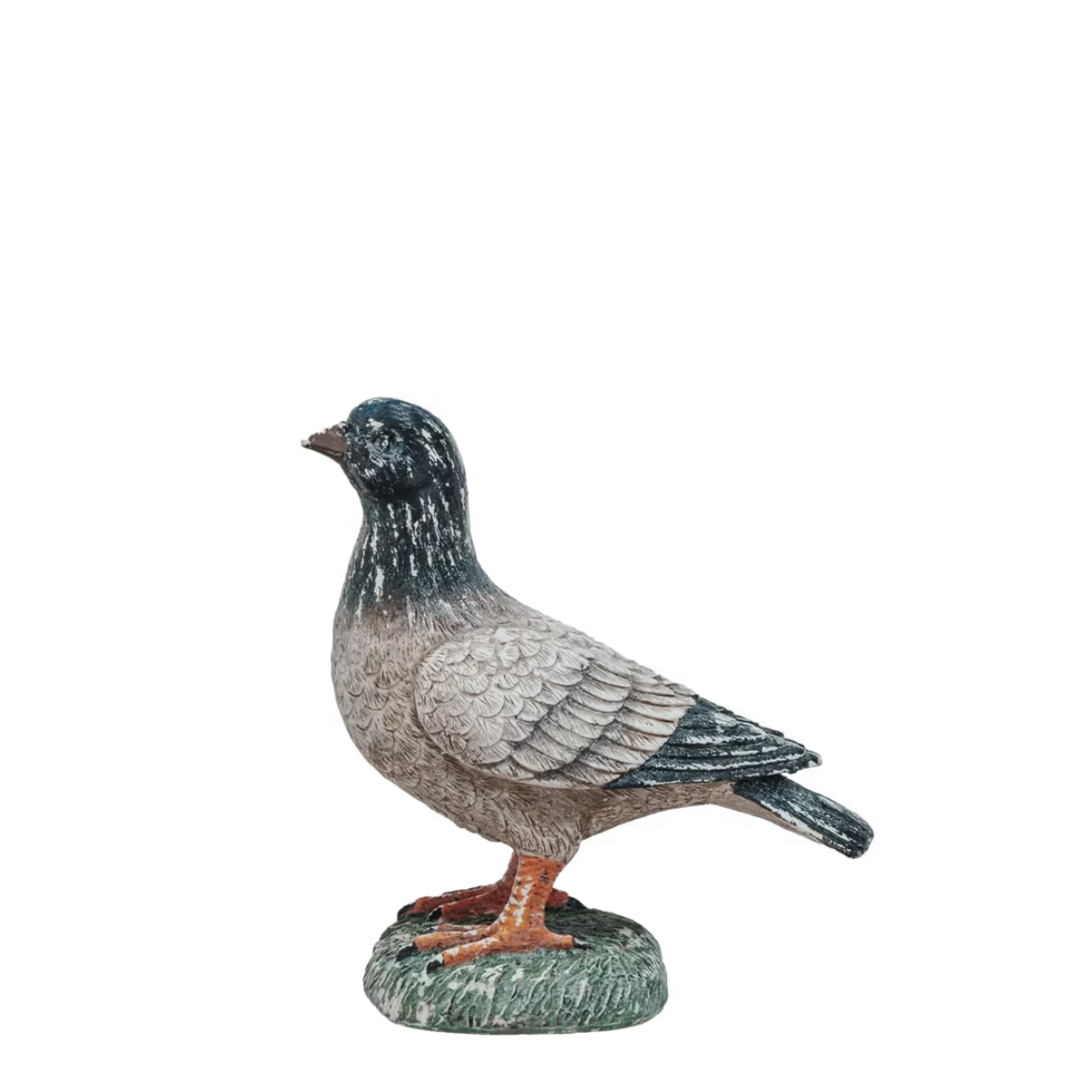 Paloma Pigeon, Small