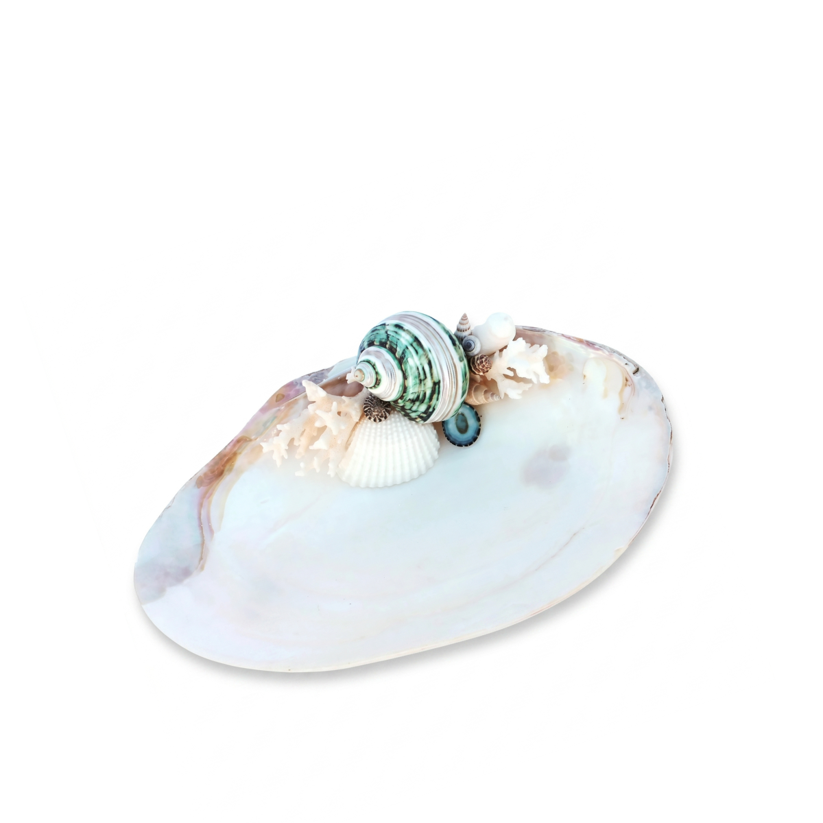 Phalen Abalone Accent Dish