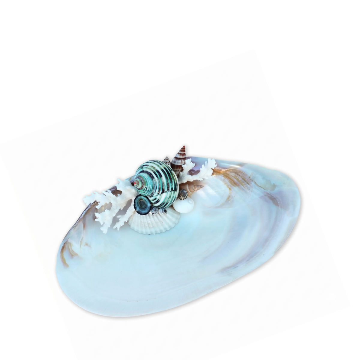 Aprille Abalone Accent Dish