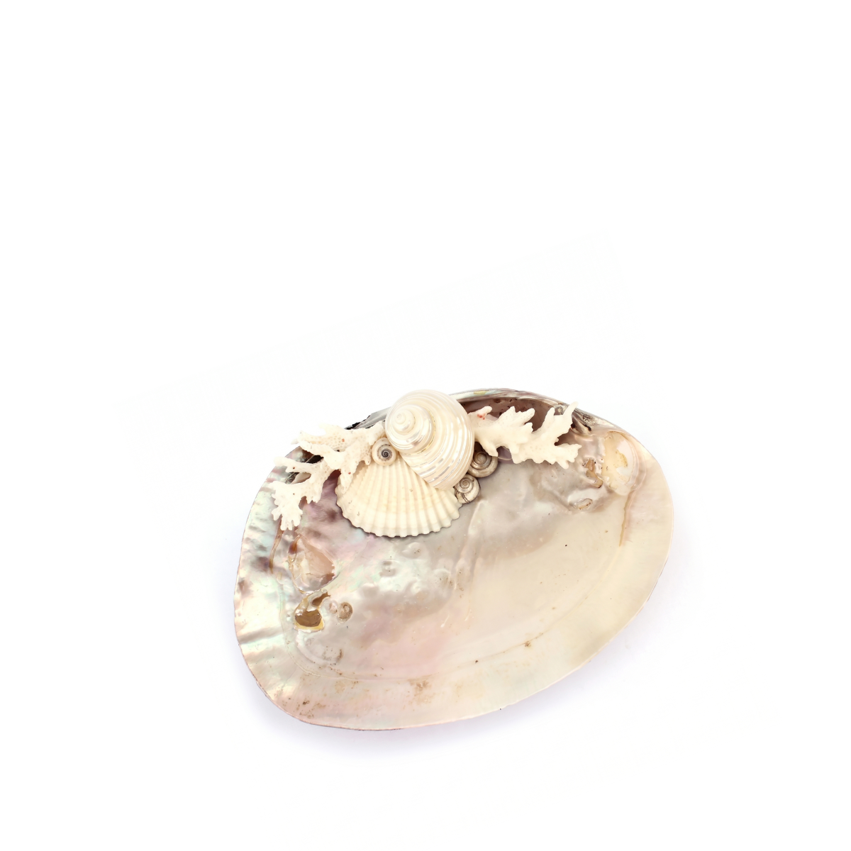 Patty Oyster Ring Dish
