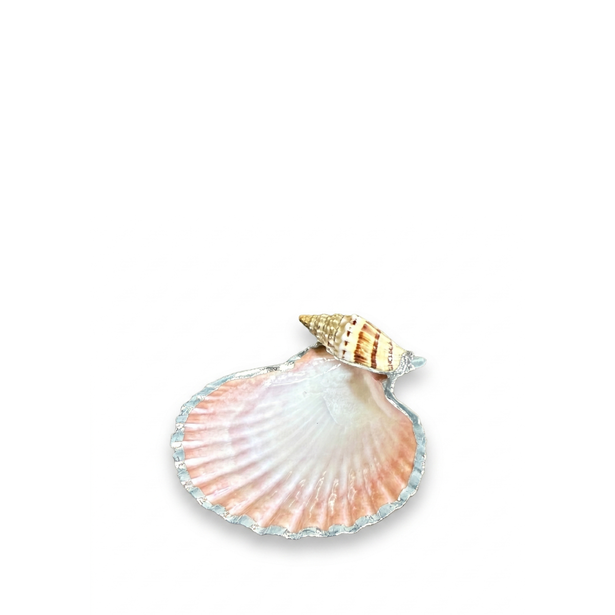 Belva Petite Clam Shell Ring Dish
