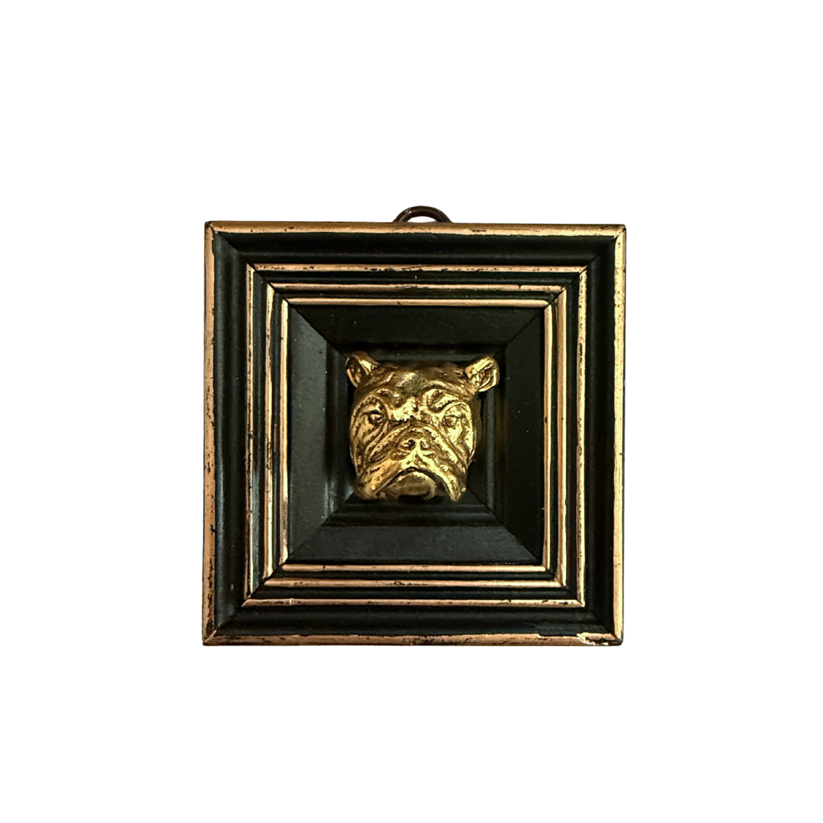 Museum Bee, Painted Frame with Bulldog