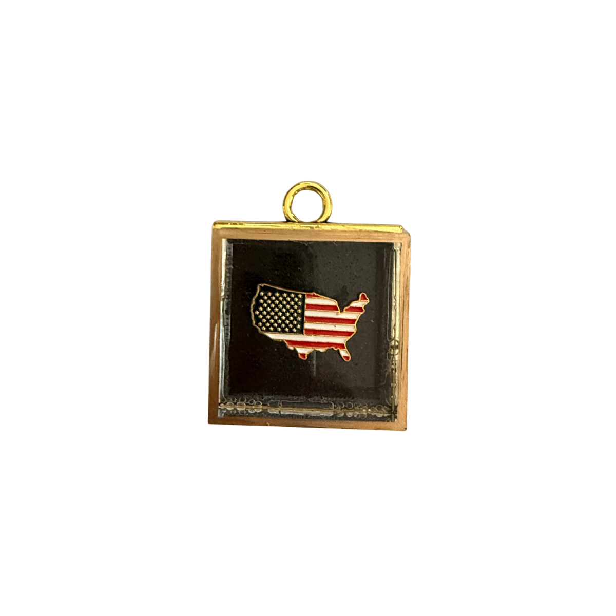 Museum Bee, Acrylic Frame with USA Pin on Sparkle Paper