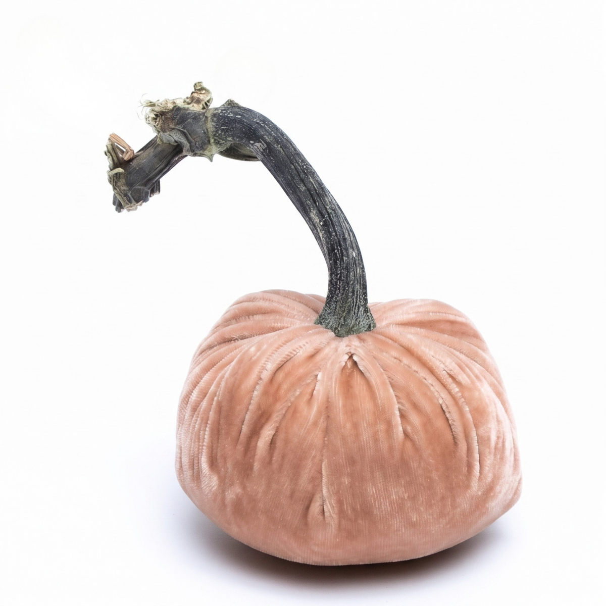 Hot Skwash Silk Velvet Pumpkin, Cinnamon Multi Sizes