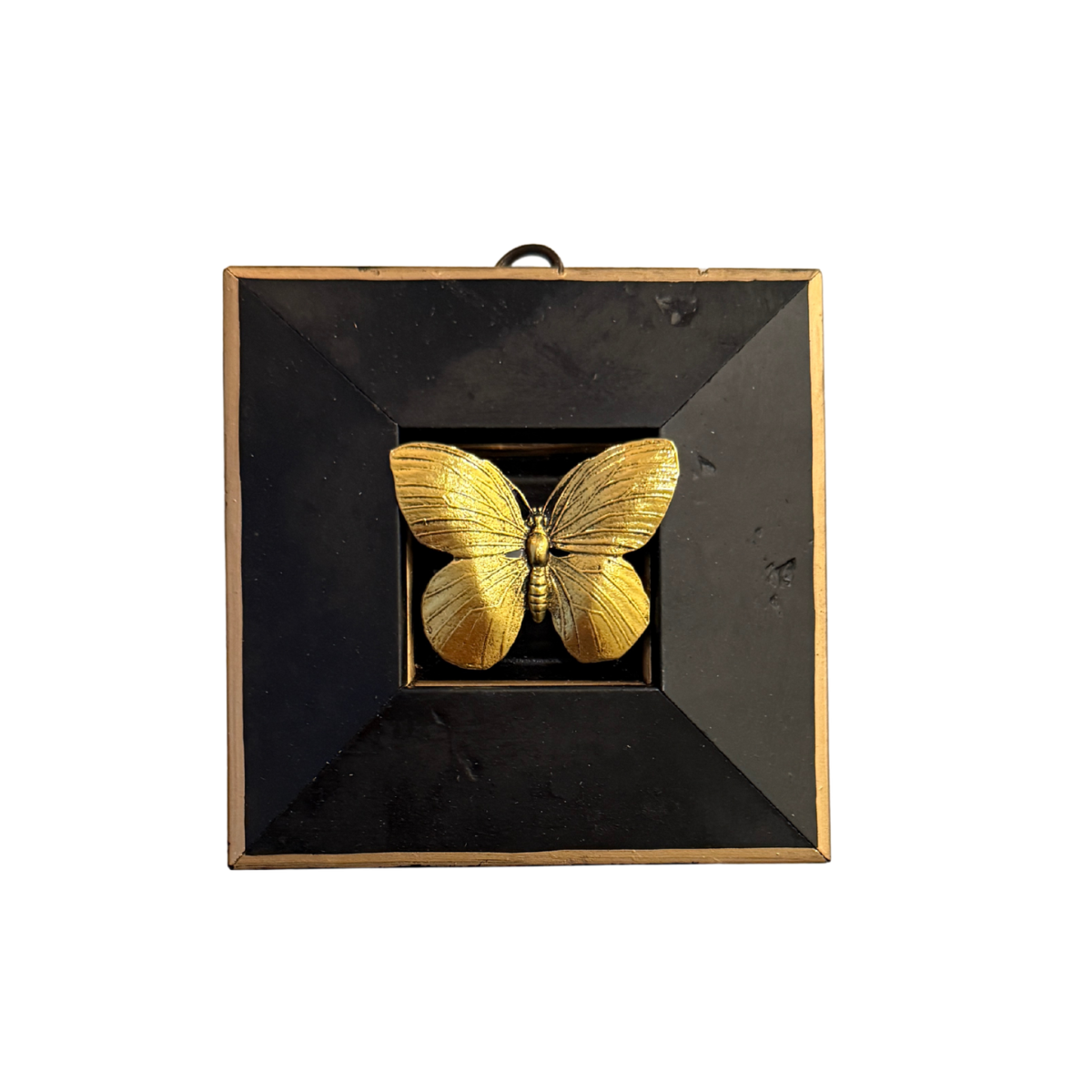 Museum Bee, Lacquered Frame with Butterfly