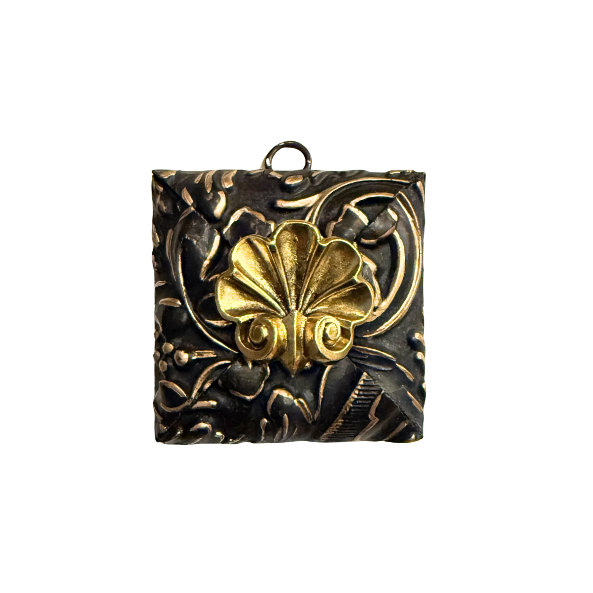 Museum Bee, Painted Frame with Shell