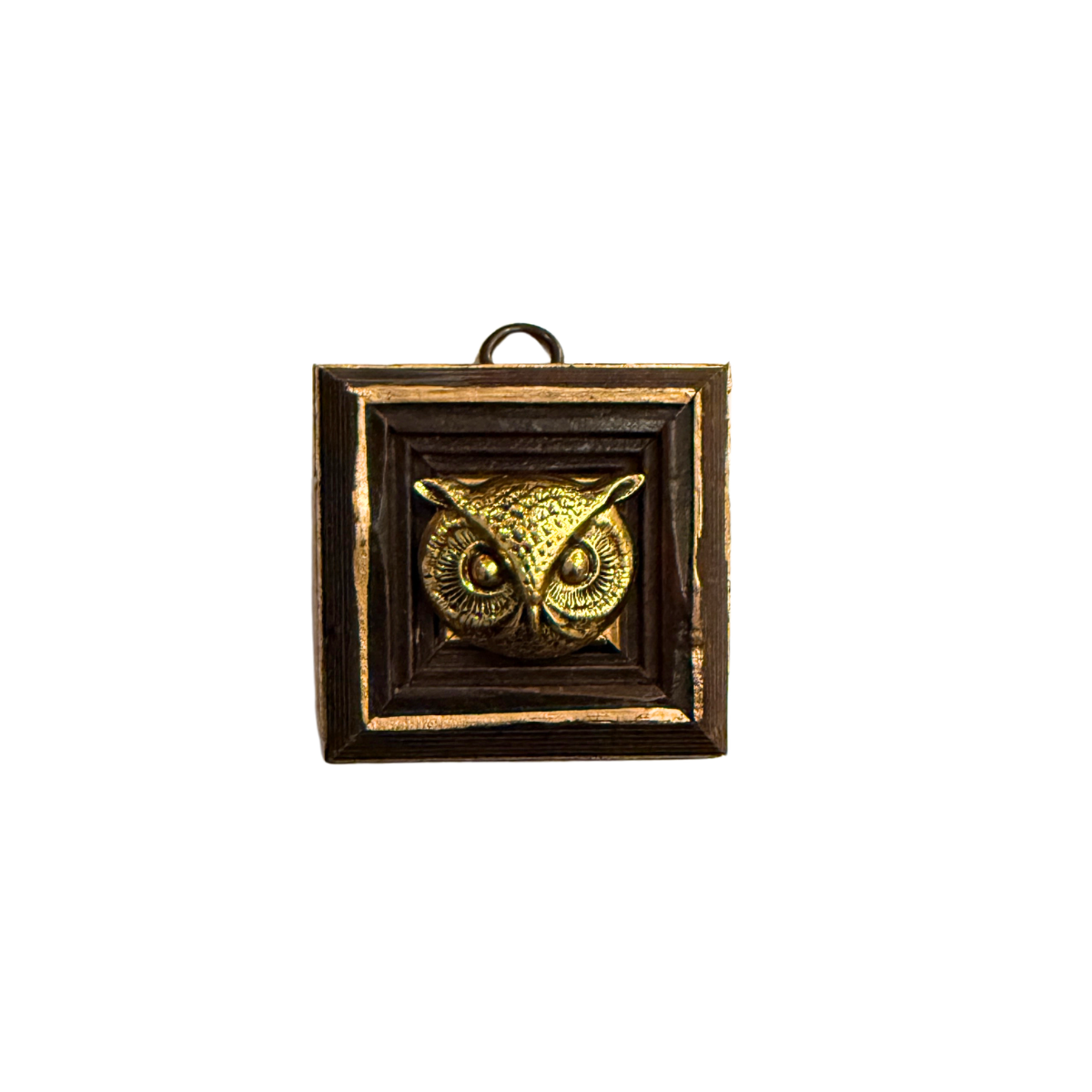 Museum Bee, Wooden Frame with Owl