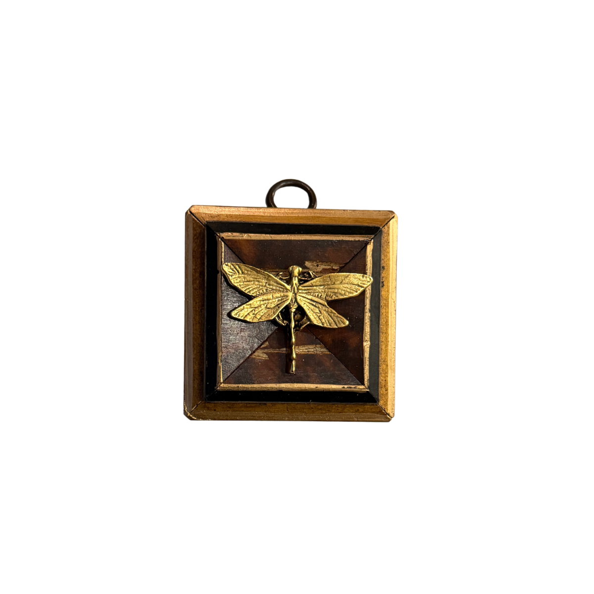 Museum Bee, Gilt Frame with Dragonfly