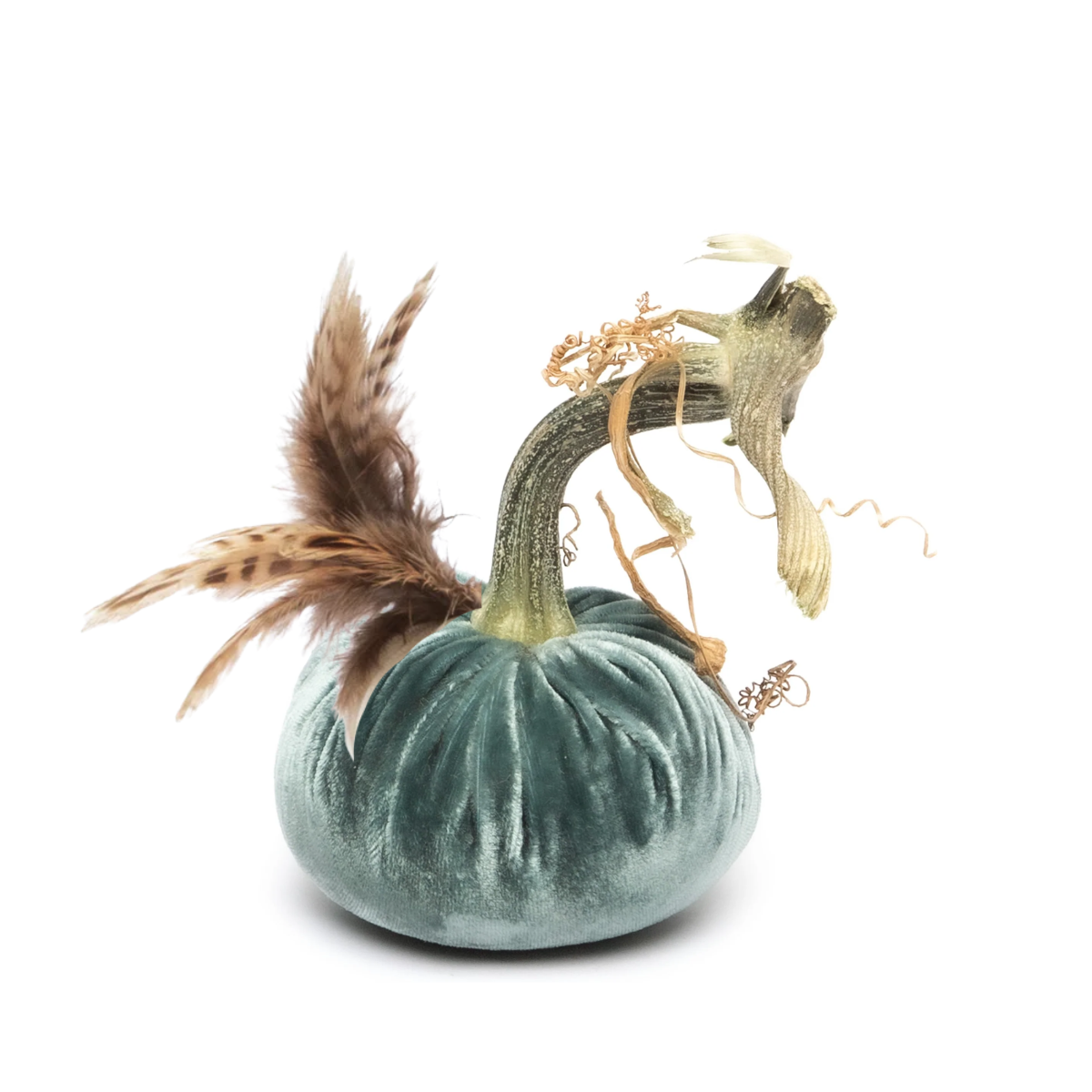 Hot Skwash Silk Velvet & Ringneck Plume Pumpkin, Wedgwood Multi Sizes