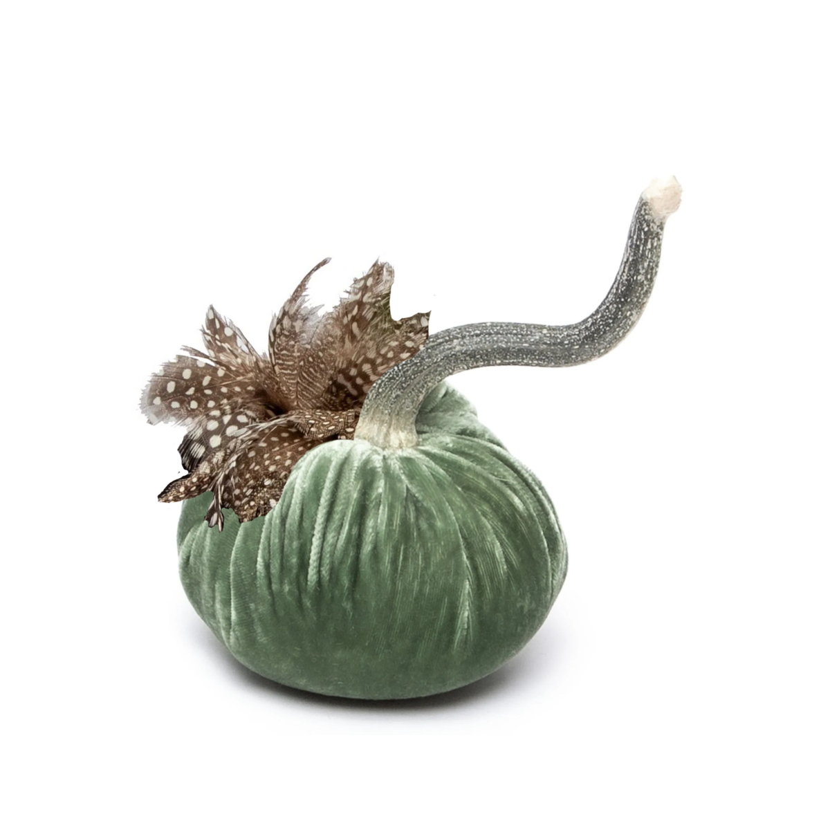 Hot Skwash Silk Velvet & Guinea Plume Pumpkin, Sage Multi Sizes