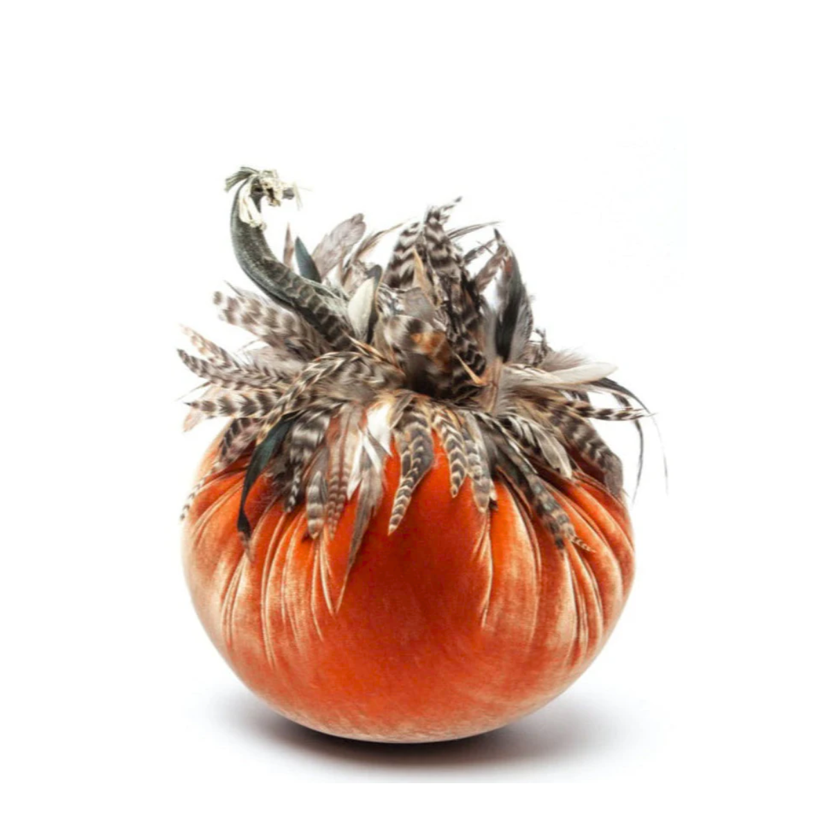 Hot Skwash Silk Velvet & Chinchilla Collar Pumpkin, Persimmon