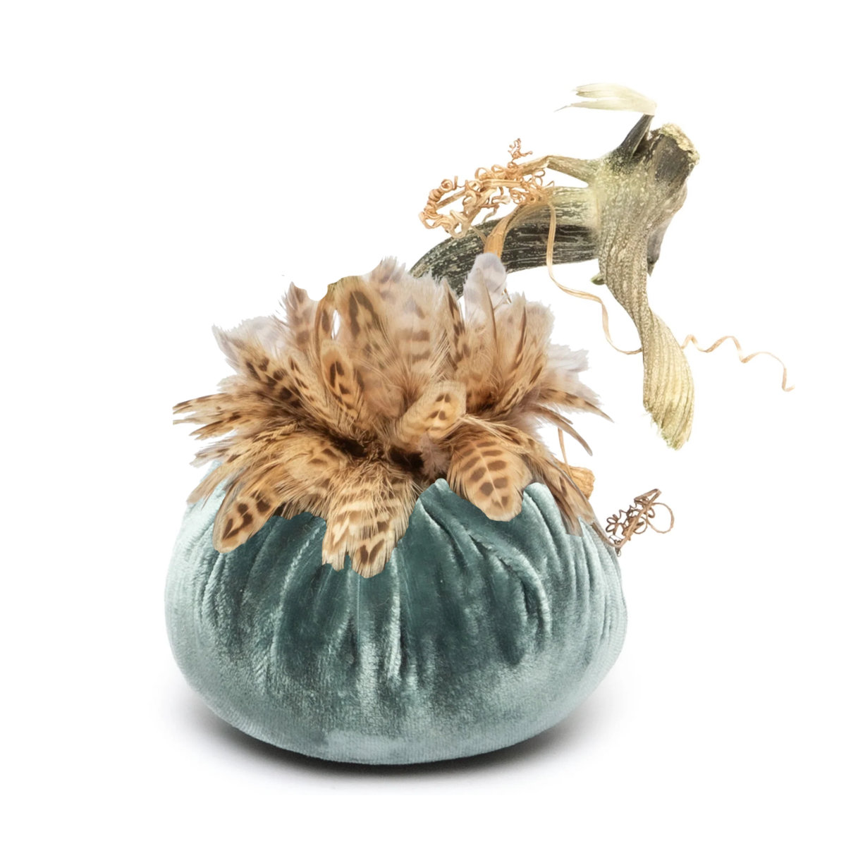 Hot Skwash Silk Velvet & Ringneck Collar Pumpkin, Wedgwood